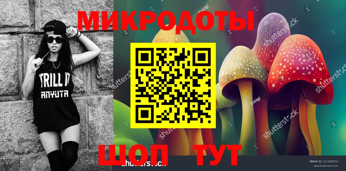 наркошоп  Вход с VPN  Камышин  Псилоцибиновые грибы мицелий 
