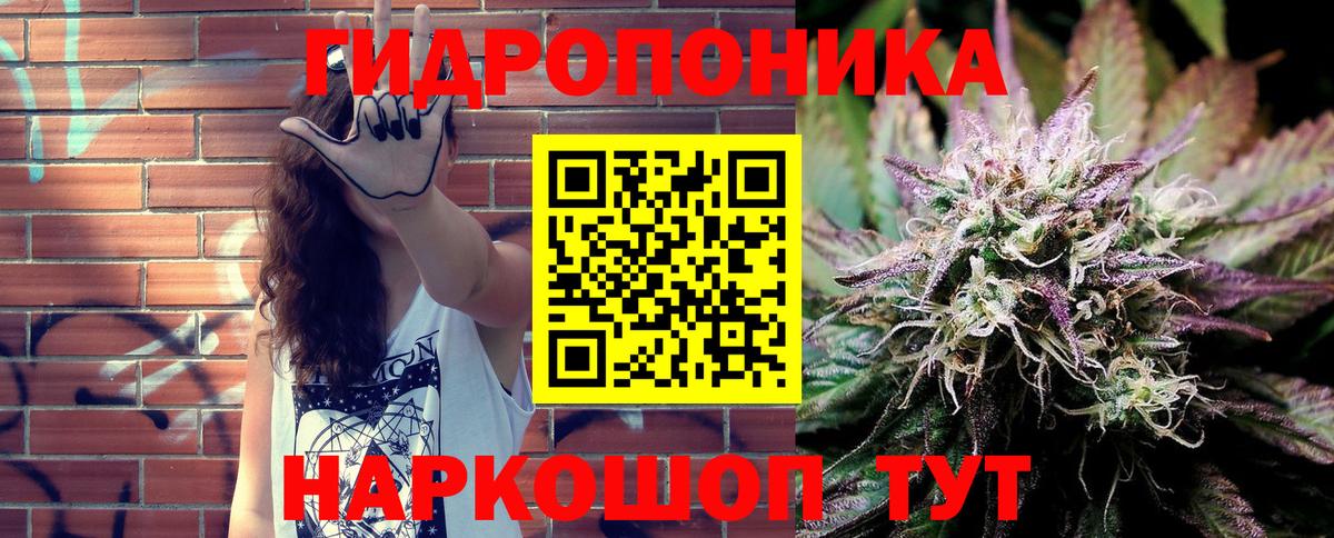 Канабис планчик Камышин